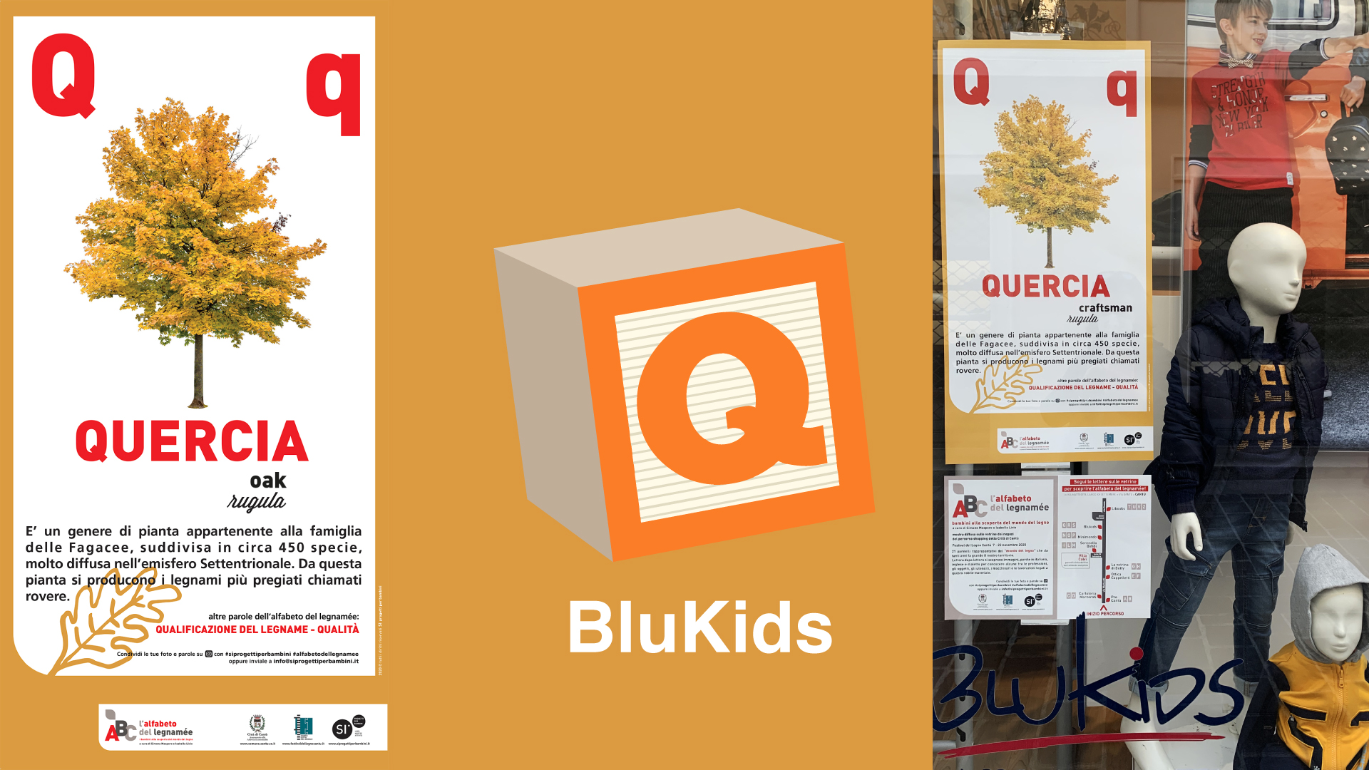 Q