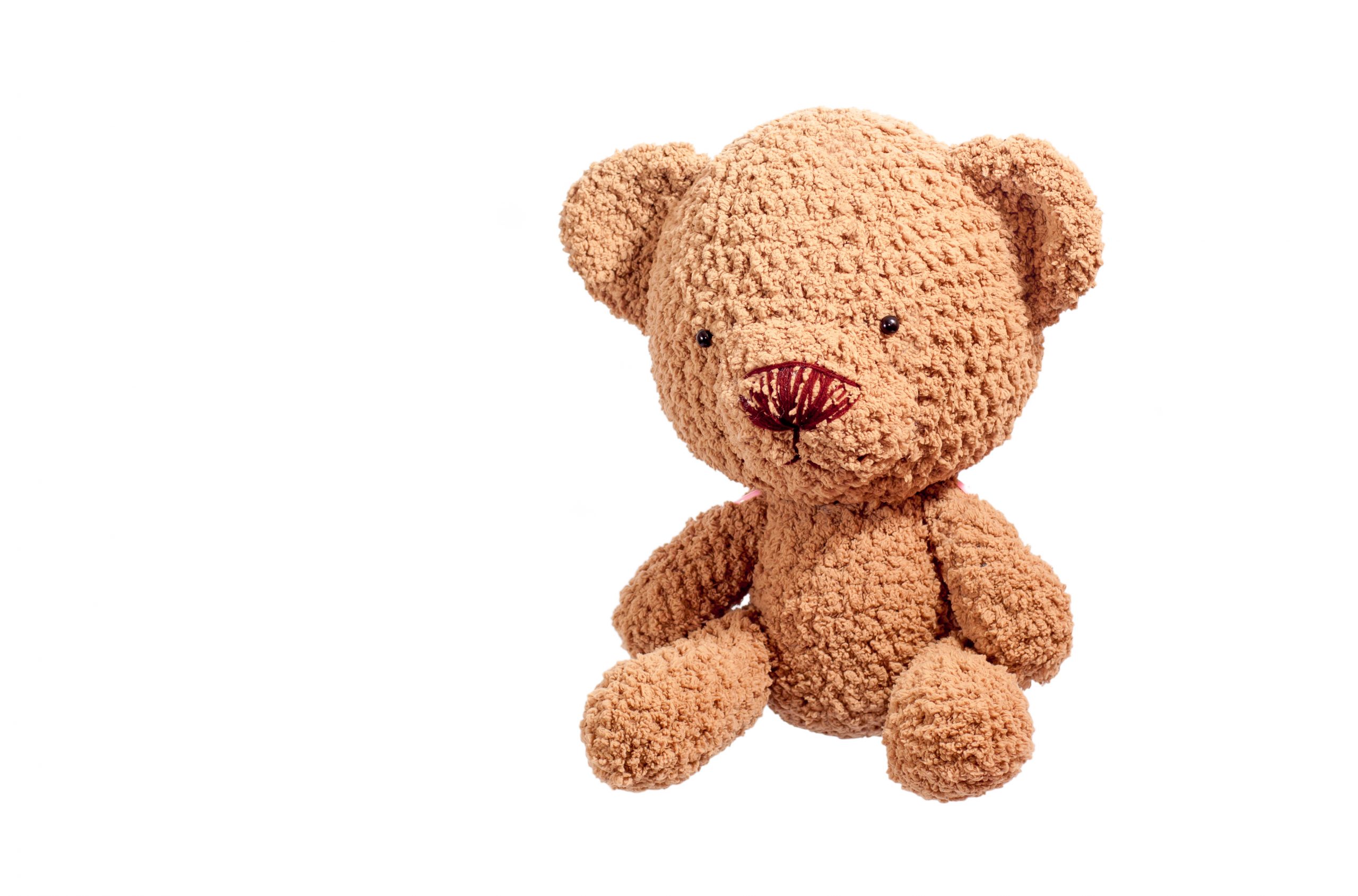 brown bear doll Festival per bambini