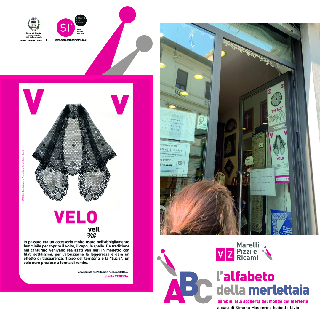 INSTA_MERL_V